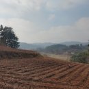 밤섬마을회관 이미지