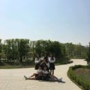 대일관광고등학교 이미지