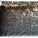 택양농장 이미지