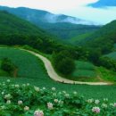 포시즌무인텔 이미지