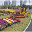 반려동물 테마공원 화장실 이미지