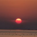 애견의 정원 | 제부도볼거리 빨간등대부터 애견동반 오솔길정원 카페 당일치기 후기