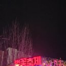 한아름꽃농원 - 계양구 장제로 1103-1 | [봄맞이 로컬 산책] 2026 안동 벚꽃축제 방문후기