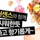 하나헤어센스