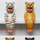 아이올래 이미지