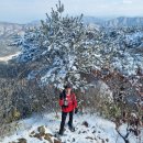 ♡24~12~29종주 산악회 특별 산행 들머리 원리사거리 하늘다리 출렁다리 마당바위 백아산 정상 날머리 자연휴양림 힐링산행 ㅎ ♡♡♡ 이미지