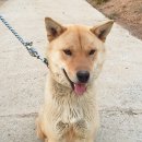 황보농장 이미지