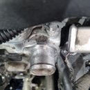 양산 반달곰 카센타 이미지