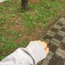 석동내과연합의원 이미지