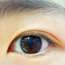 눈앤안경원 이미지