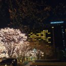 그랜드하얏트서울 | [호텔/리조트] 그랜드 하얏트 서울 프리미엄 남산 전망 후기