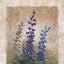 소풍가자 이미지