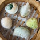 만화쉔 | [대전/유성구] 대전 딤섬 전문점 만화쉔 점심 방문 후기