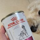 로이메디 이미지