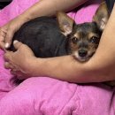 이혜진한의원 | 25.01.01~25.01.31