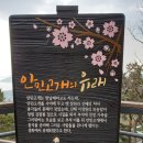 한국기행 18- 창원의 봄소식 이미지