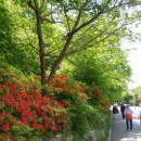 초지경로당 이미지