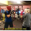 성산효권투체육관 이미지