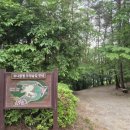 알프스 힐 하우스 이미지