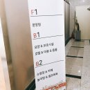 잠실애견카페도그마루