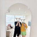 송정 바이브 풀빌라 이미지