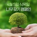 식목일 이미지