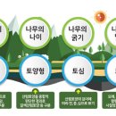 양지63 이미지