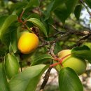 인문학 북클럽 이미지