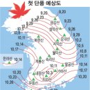 ▶ 2006년 단풍시기 ◀ 이미지