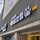 청주고양이카페아이캣유 네이버블로그