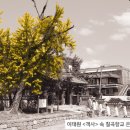 이태원길 이미지