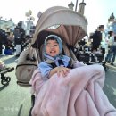 코뿔소카서비스 | 21개월 아기 에버랜드 하루코스 │ 워킹사파리, 놀이기구, 튤립축제까지 (+주차·동선 꿀팁)