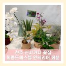전주 신시가지 꽃집 메종드에스텔 인테리어 화분 구입후기
