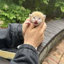 동물보육원 용인지부 이미지