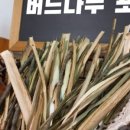 빙키토끼니