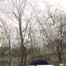 대궐오토캠핑장 네이버블로그