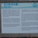 13번지 | 제주 표선면 토산리 오름, 토산봉(망오름) 산책 후기