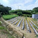 점촌공인중개사사무소 이미지