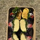 탄탄김밥 | 대전 피크닉 메뉴 김밥 추천 둔산동 식물원김밥 후기