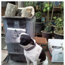 봉팔이네 이미지