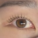 평촌역 동아프라자 | [평촌역 속눈썹펌] 속눈썹 잘 하는 곳에서 시술 받은 후기 ✨