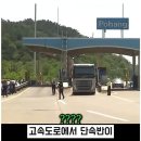 도로에 발암물질 뿌리고 다녀도 솜방망이 처벌받는 운전자들 이미지