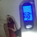 931003 | 첫 해외여행 준비기✈️ 여권발급/ 스카이스캐너/ 아고다/ 마이뱅크 여행자보험/ 트레블월렛 해외여행 카드...