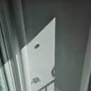 반지주공3단지아파트경로당 | 평택 탄성코트 시공 후기｜한화 포레나 평택 화양 아파트 베란다·세탁실 결로 관리