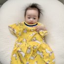 강아지잔칫집 이미지