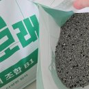 최강 | 고양이 벤토나이트 모래 추천 최강모래 사용후기 먼지 없는 모래 찾는 집사 후기