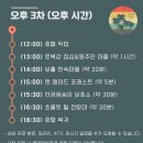 신스포레스트 | 필리핀 보홀 여행 놀다보홀 육상투어 로복강 안경원숭이 초콜릿힐 추천