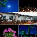 우포늪단감펜션 이미지