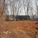 덕양공인중개사사무소 이미지