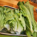 원미마을손협동조합 | [유럽상추 쌈채소] 유럽피언 쌈채소 배송 동구머리협동조합